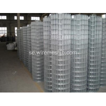 Galvaniserad Svetsad Wire Mesh In Rolls